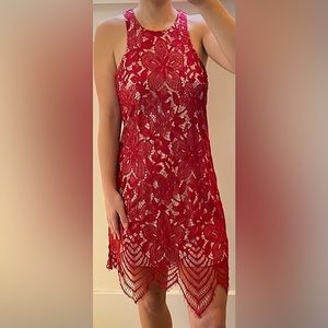 Express Floral Lace Overlay Contrast Sheath Dress